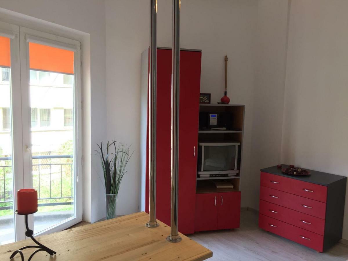 Cismigiu Garden Studio Apartment บูคาเรสต์ ภายนอก รูปภาพ